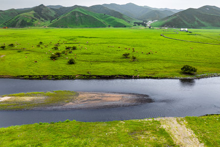 Wulan River and grassland in Inner Mongolia, Chinaの写真素材