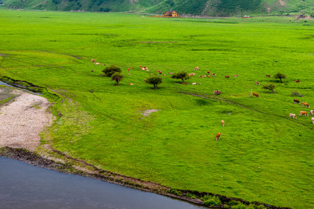 Wulan River and grassland in Inner Mongolia, Chinaの写真素材