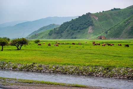 Wulan River and grassland in Inner Mongolia, Chinaの写真素材