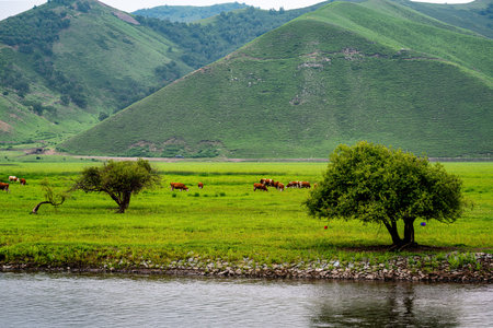 Wulan River and grassland in Inner Mongolia, Chinaの写真素材