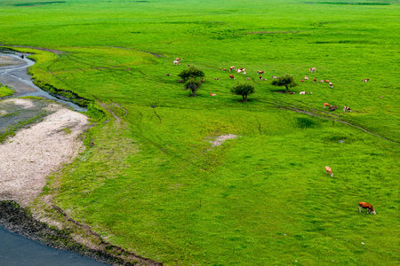 Wulan River and grassland in Inner Mongolia, Chinaの写真素材