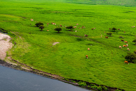 Wulan River and grassland in Inner Mongolia, Chinaの写真素材