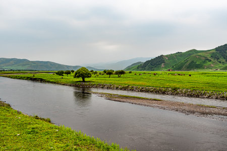 Wulan River and grassland in Inner Mongolia, Chinaの写真素材