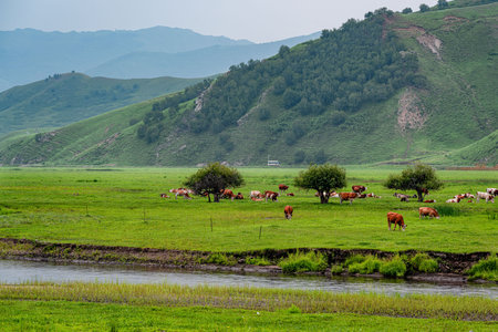 Wulan River and grassland in Inner Mongolia, Chinaの写真素材