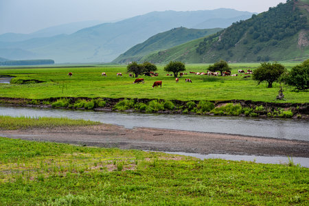 Wulan River and grassland in Inner Mongolia, Chinaの写真素材
