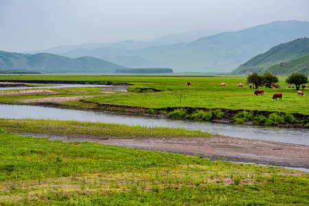 Wulan River and grassland in Inner Mongolia, Chinaの写真素材