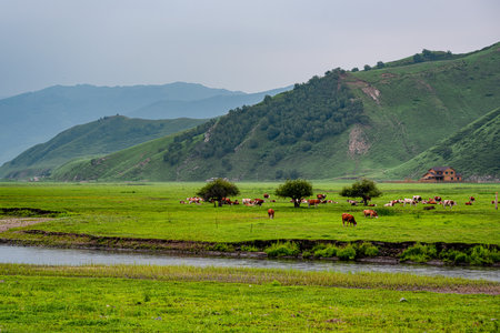 Wulan River and grassland in Inner Mongolia, Chinaの写真素材