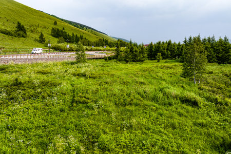 Arxan National Forest Park, Xing'an League, Inner Mongolia, Chinaの写真素材