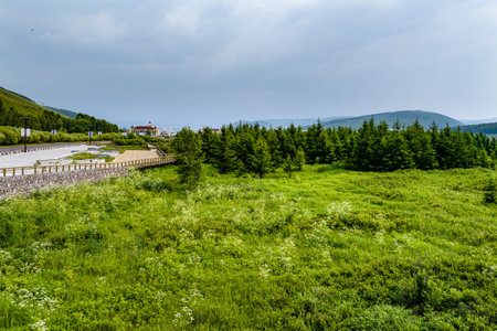 Arxan National Forest Park, Xing'an League, Inner Mongolia, Chinaの写真素材