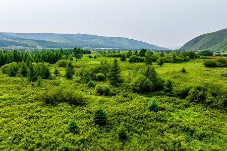 Arxan National Forest Park, Xing'an League, Inner Mongolia, Chinaの写真素材