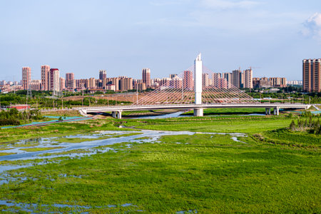 Urban architecture landscape of Changchun New Area, Chinaの写真素材