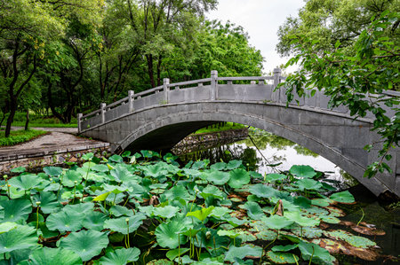 Scenic Spots of Beiling Park, Shenyang, Chinaの写真素材
