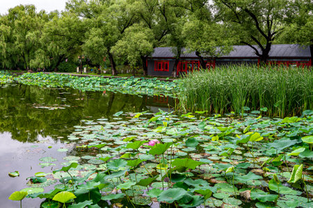 Scenic Spots of Beiling Park, Shenyang, Chinaの写真素材