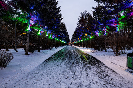 Winter night view of Nanhu Park, Changchun, Chinaの写真素材