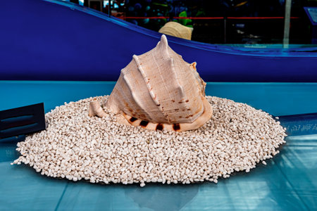 Tang crown snail - 15th China Jilin (Changchun) Winter Agricultural Expo display