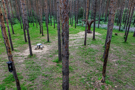 Small Forest Bathing Beach, Jingyuetan National Forest Park, Changchun, Chinaの写真素材
