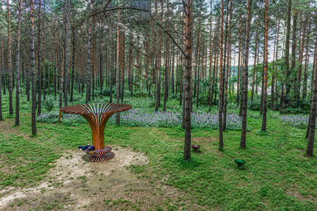 Small Forest Bathing Beach, Jingyuetan National Forest Park, Changchun, Chinaの写真素材