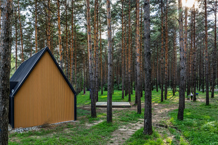 Small Forest Bathing Beach, Jingyuetan National Forest Park, Changchun, Chinaの写真素材
