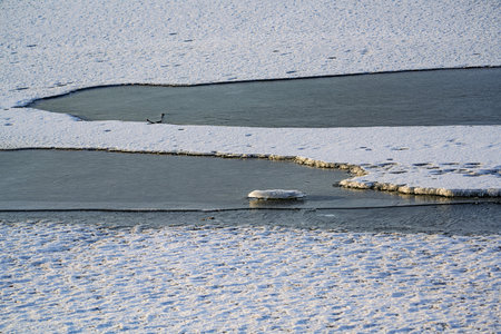 Melting lake - China Changchun Jingyuetan National Forest Parkの写真素材