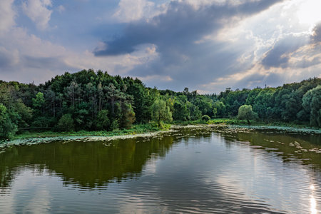 Black Pine Forest Scenic Area, Jingyuetan National Forest Park, Changchun, Chinaの写真素材