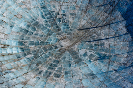 January 23, 2026, Changchun, China: A giant ice pool for cars attracts tourists to compete in driving games.のeditorial素材