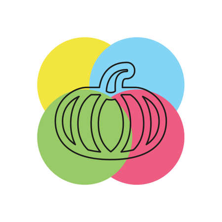 vector pumpkin illustration, vegetarian nutrition symbol - fresh, healthy and organic. Thin line pictogram - outline strokeのイラスト素材