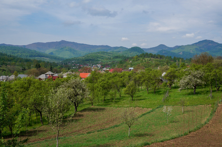 Scene from Rural Romaniaの写真素材