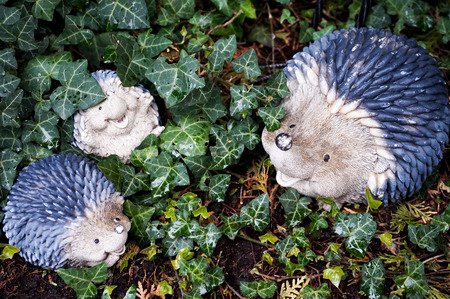 A cute family of ceramic hedgehogs after the rainの写真素材