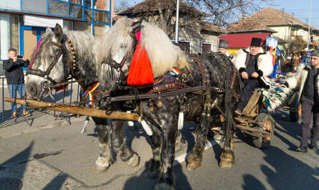 Alba Iulia, Romania - 01.12.2018: Horses participating in the Romania National Day paradeのeditorial素材
