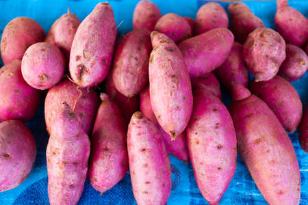 red potatoesの写真素材