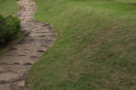 Stone Steps in Parkの写真素材
