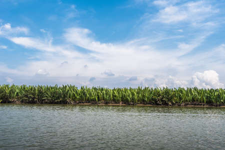 River flowing in Asia