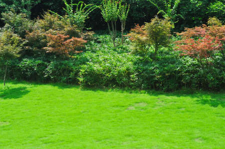 peaceful gardenの写真素材