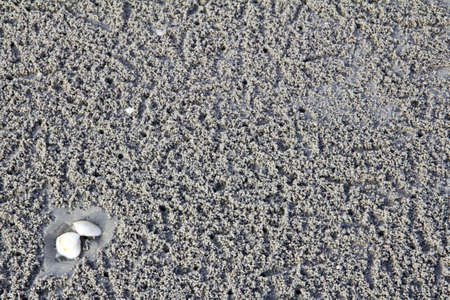 Huahin beach that have the character is crab fuzzの写真素材