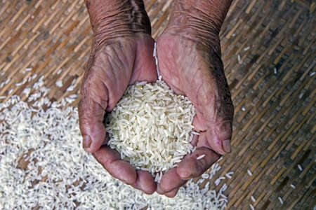 milled rice on person hand old , の写真素材