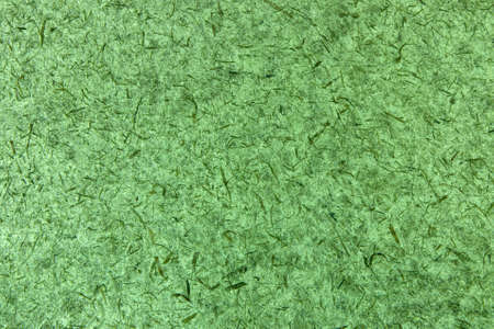 colored green paper that have grass leavings stays the inside ,の写真素材