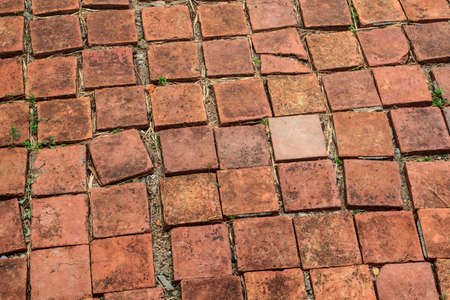 Walkway lined with orange brick . This image can be used as wallpaper.の写真素材