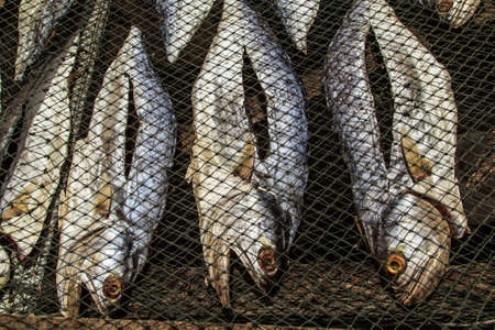 Fishermen bring fish to the sun to dry fish and then cook it.