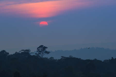 The big orange sun is going down the horizon.の写真素材