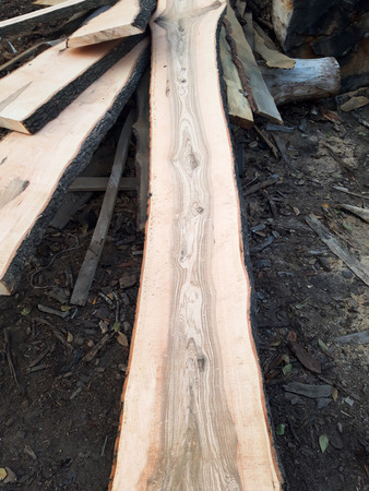 Excellent wood with patterned insideの写真素材