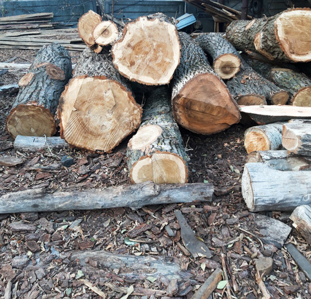 Firewood of various sizesの写真素材