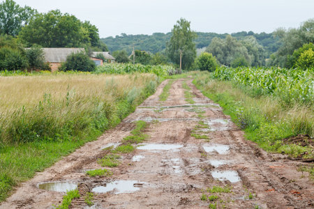 Broken dirt road in the village with lots of muddy puddles after rain.の写真素材