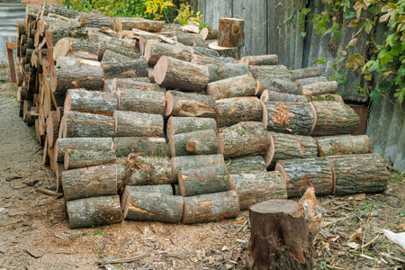 Harvesting firewood for the winter. Pile of stacked firewood prepared for heating the house in winter, chopped firewood on a stack, firewood stacked and prepared for winter, piles of wood logsの写真素材