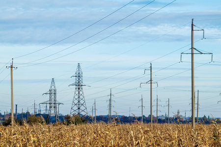 Power line supports in a corn field against a blue sky with clouds.の写真素材