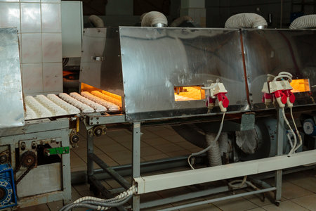 Food factory production line. Zephyr and marshmallows or cream roses manufactory baking machine.