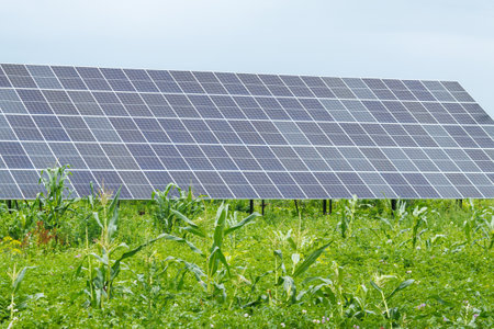 Solar panels set near a rustic house