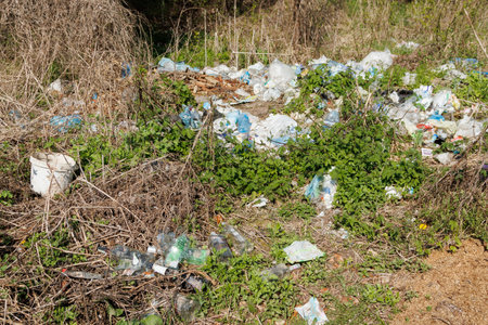 Terrible landfill in the woods. Concept of anthropogenic pollution of forests and nature. There's a lot of rubbish in the forestの写真素材