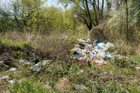 Terrible landfill in the woods. Concept of anthropogenic pollution of forests and nature. There's a lot of rubbish in the forestの写真素材