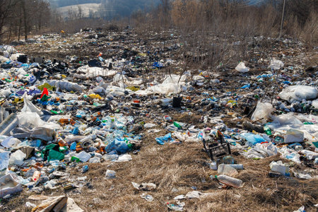 A natural dumping ground for garbage, used plastic bottles, bags and other types of waste.