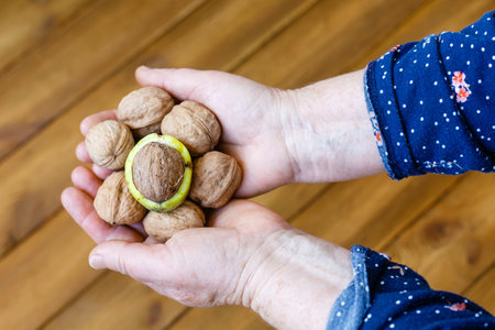 Hands of an old woman holding a bunch of walnuts. Walnuts in human hands, close-up.